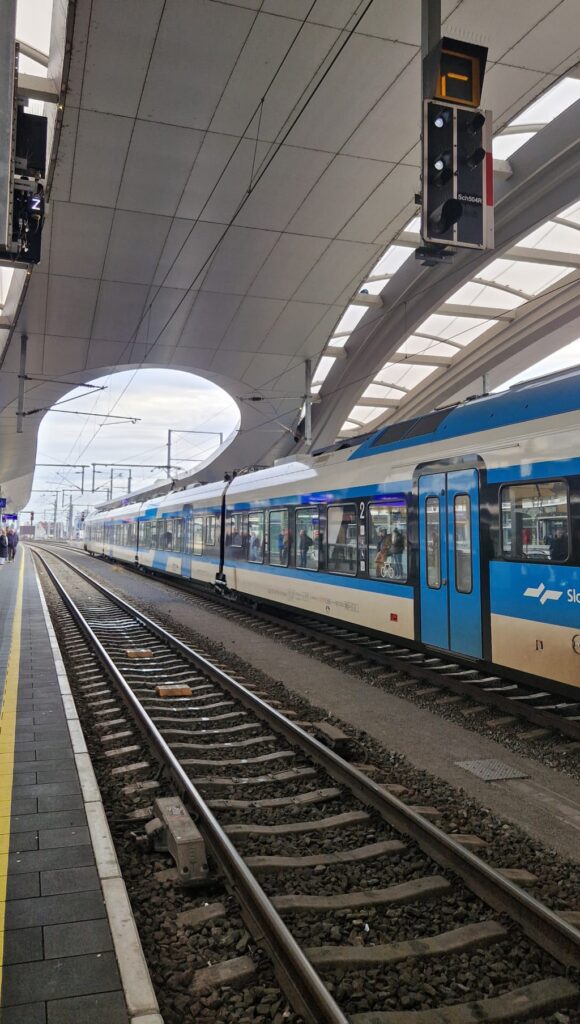 Moderner Zug am Bahnsteig unter geschwungenem Dach mit wartenden Fahrgästen und Bahngleisen im Vordergrund.