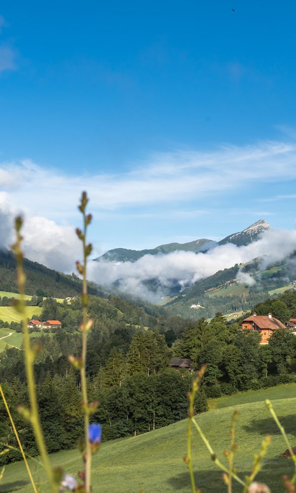 Görtschitztal