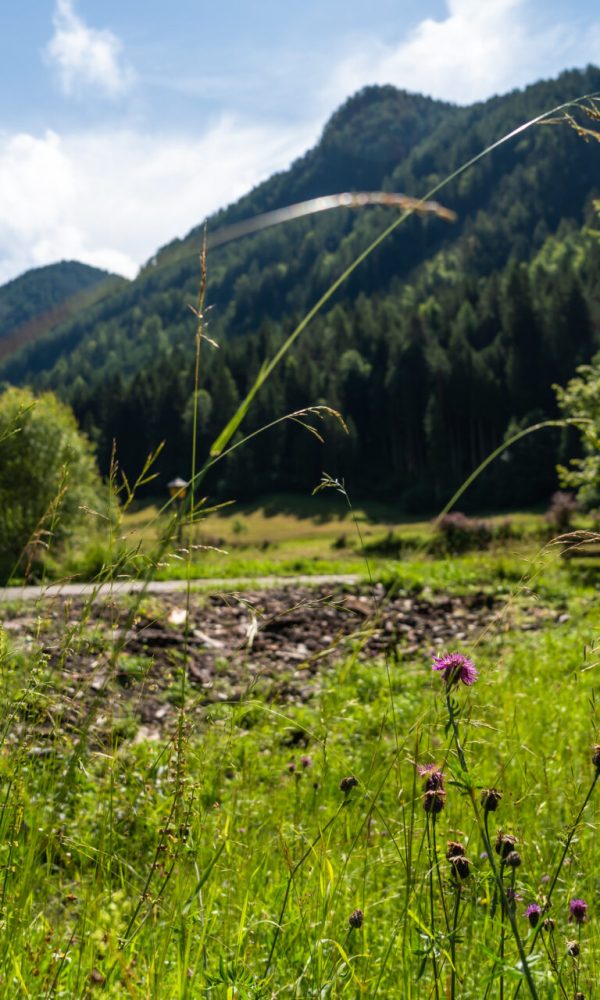 Kärnten Süd Hochobir